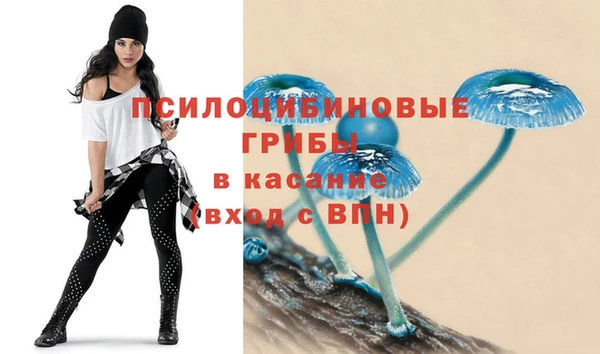 дурь Волоколамск