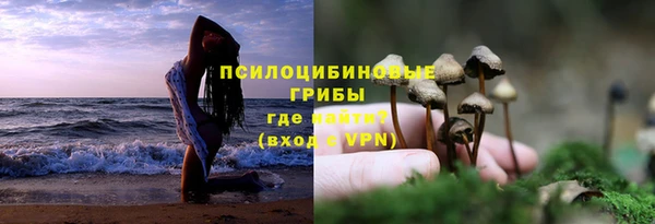дурь Волоколамск