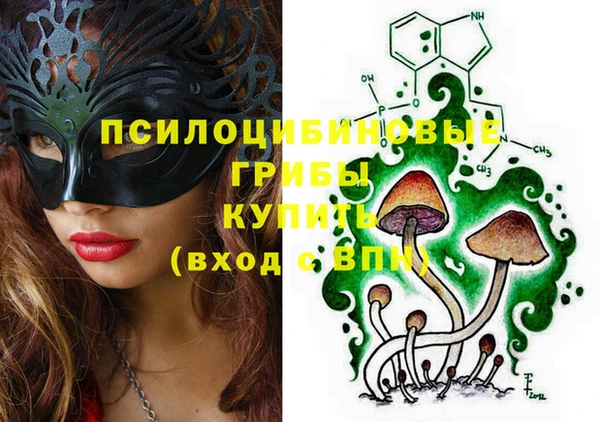 дурь Волоколамск