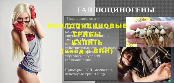 Альфа ПВП Володарск