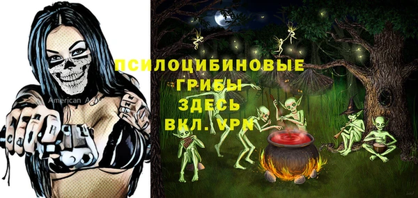 Альфа ПВП Володарск