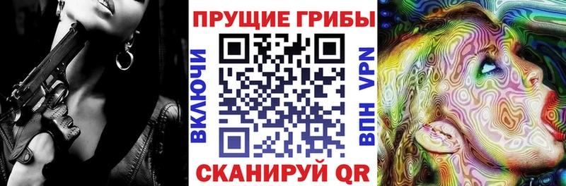 купить наркоту  Елец  Псилоцибиновые грибы мухоморы 