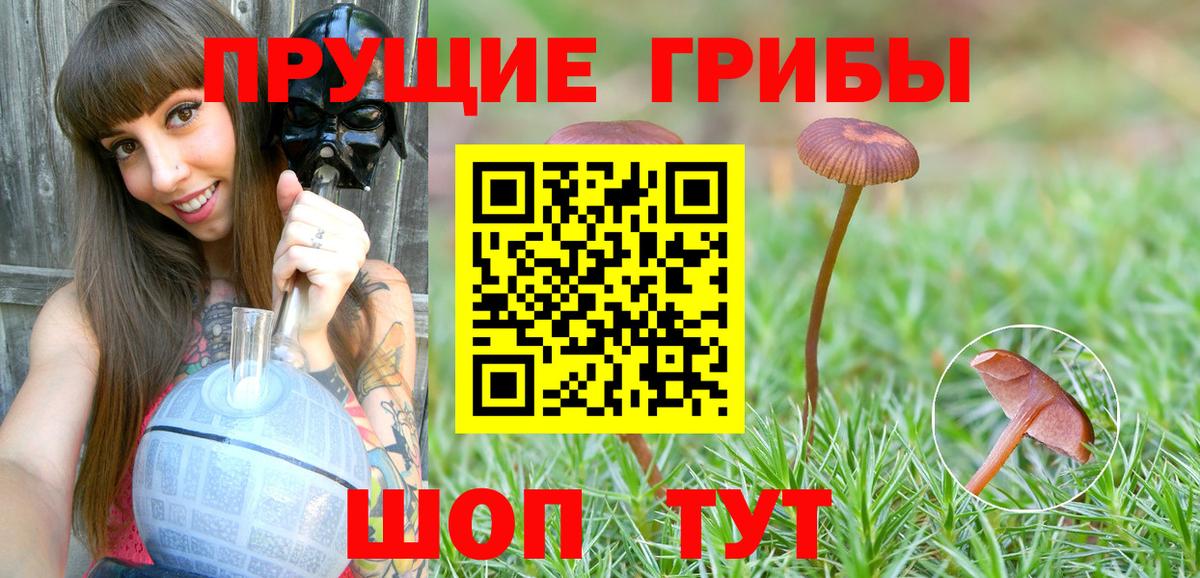 Псилоцибиновые грибы Magic Shrooms  Вход с VPN  Псилоцибиновые грибы GOLDEN TEACHER  Елец 